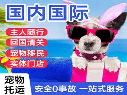 沈阳航空空运国际宠物托运 【国